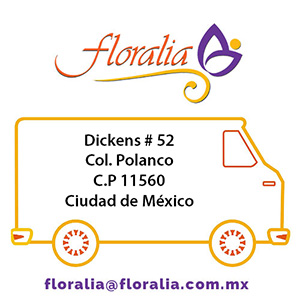 Envio de flores